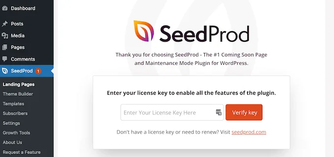 SeedProd 許可證金鑰