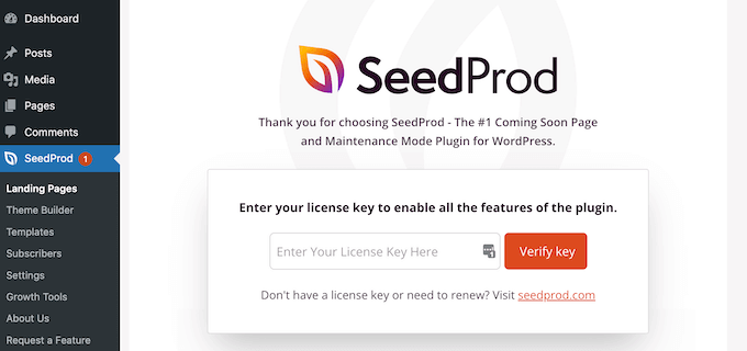 添加 SeedProd 許可證金鑰