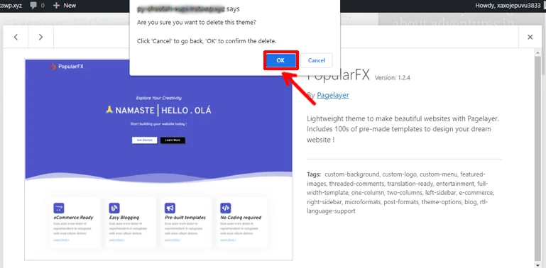 Confirm Deletion How to Remove Themes from WordPress