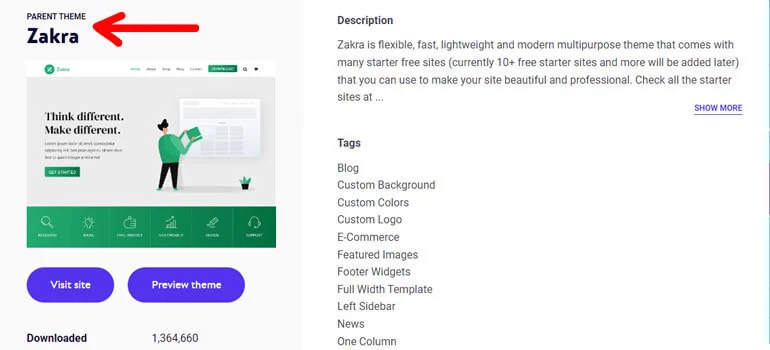 Kinsta Showing Theme Details