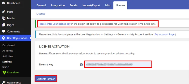 Paste and Activate License Key